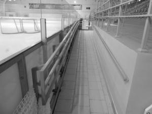 Фотография МАУ СК Ледовый 5
